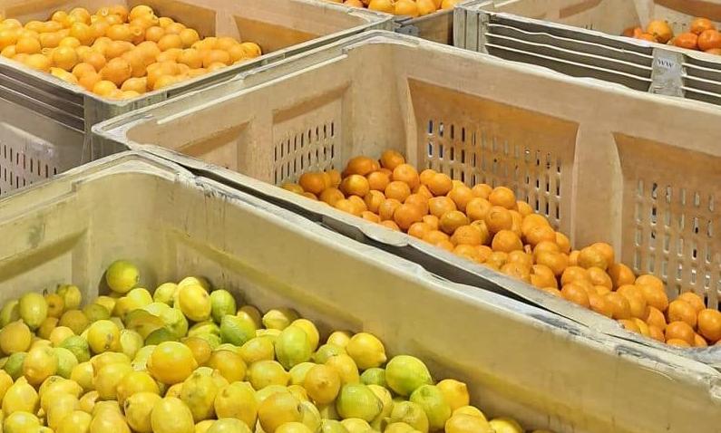 South African citrus gains better access to India South African citrus gains better access to India