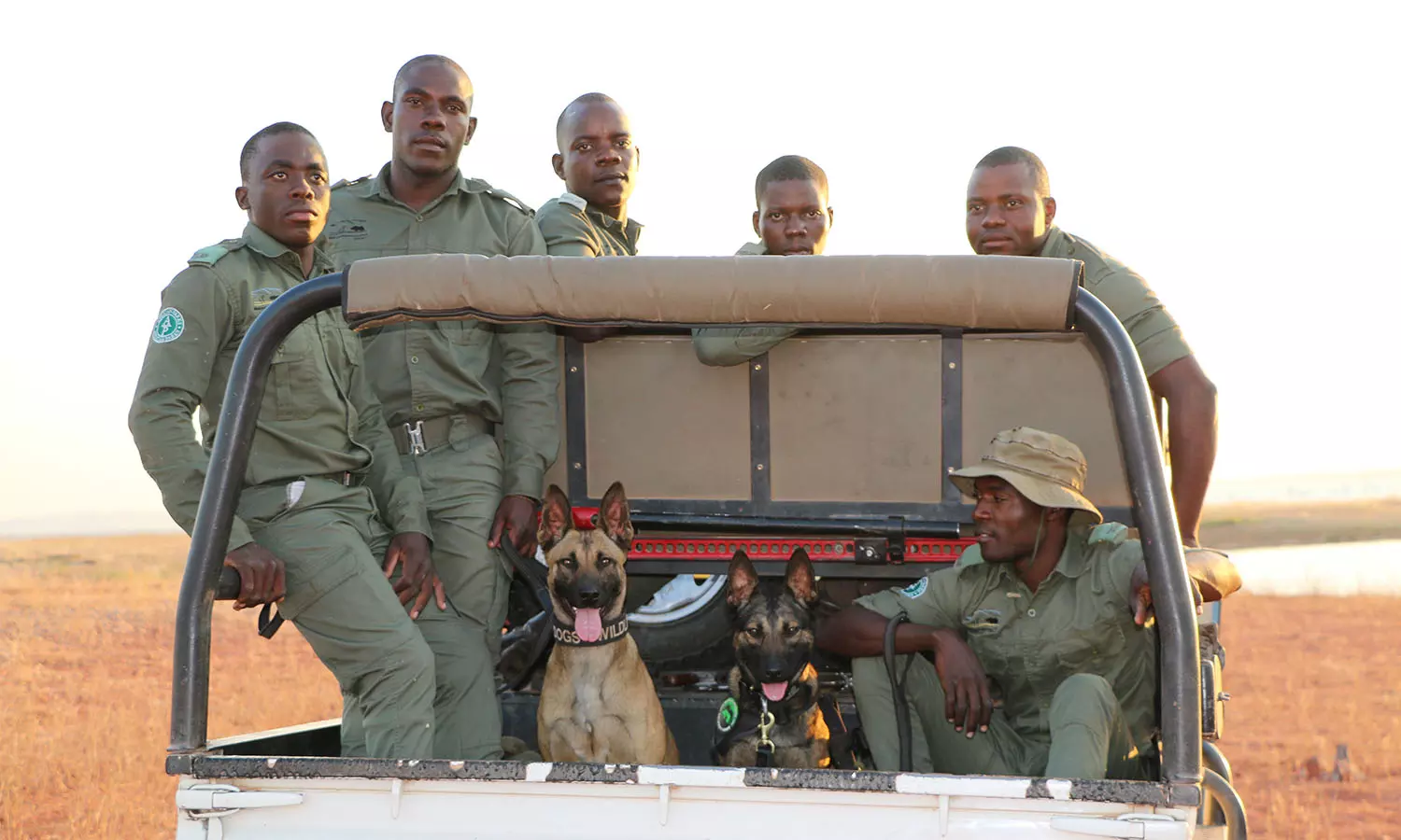 Emirates SkyCargo aids African wildlife protection with K9 flight Emirates SkyCargo aids African wildlife protection with K9 flight
