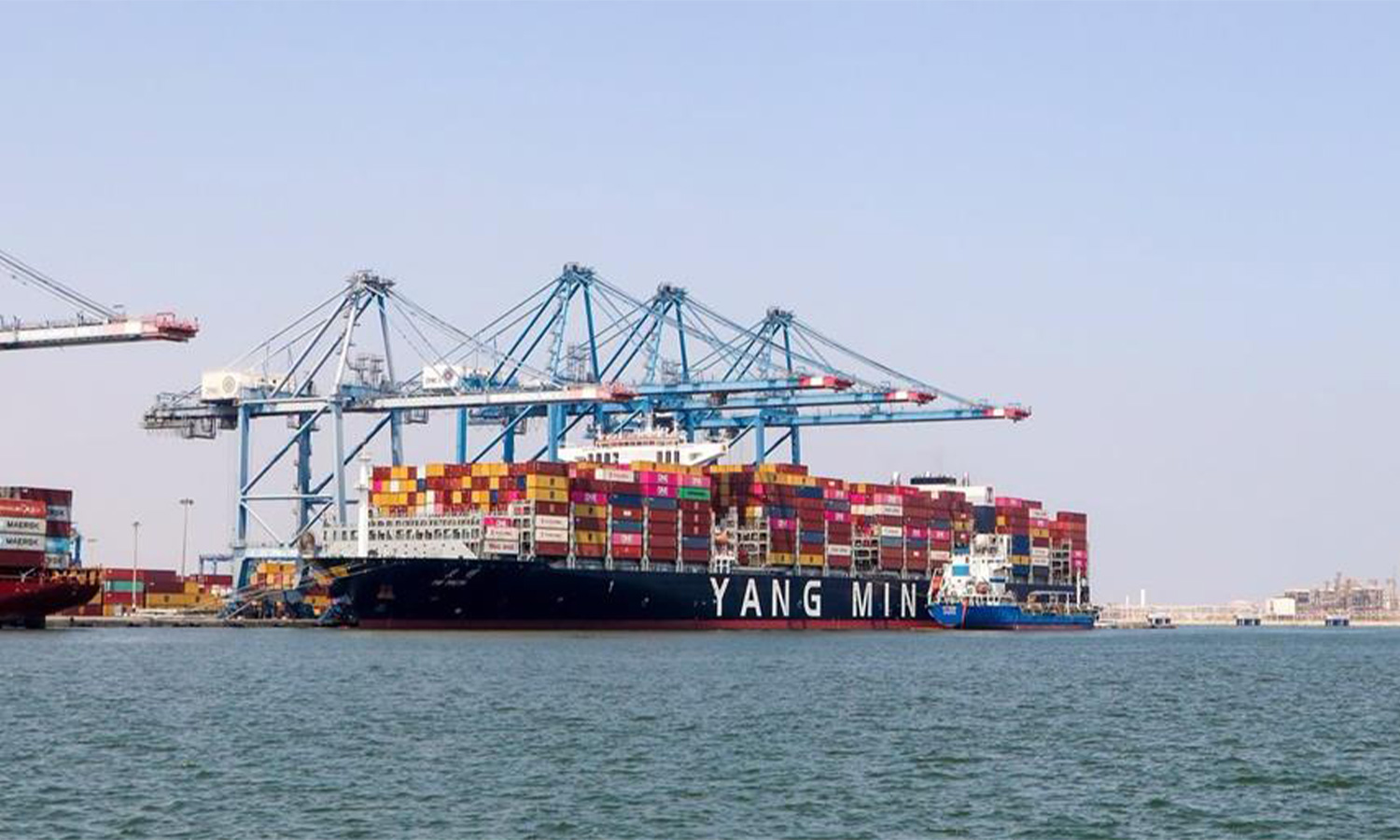 Egypt ports handle heavy vessel traffic as food exports soar high