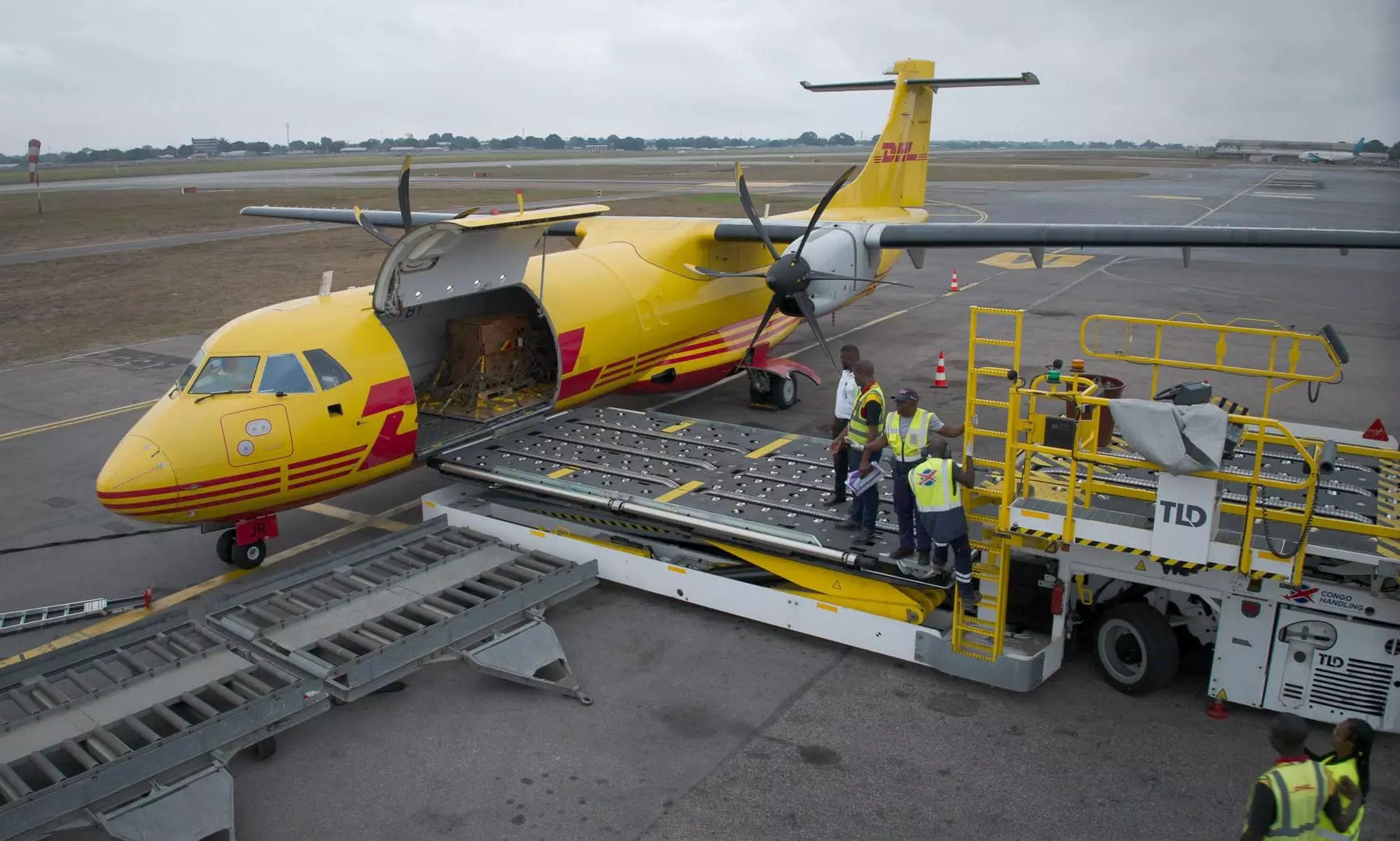 DHL moves rescued Gorilla to Congo DHL moves rescued Gorilla to Congo