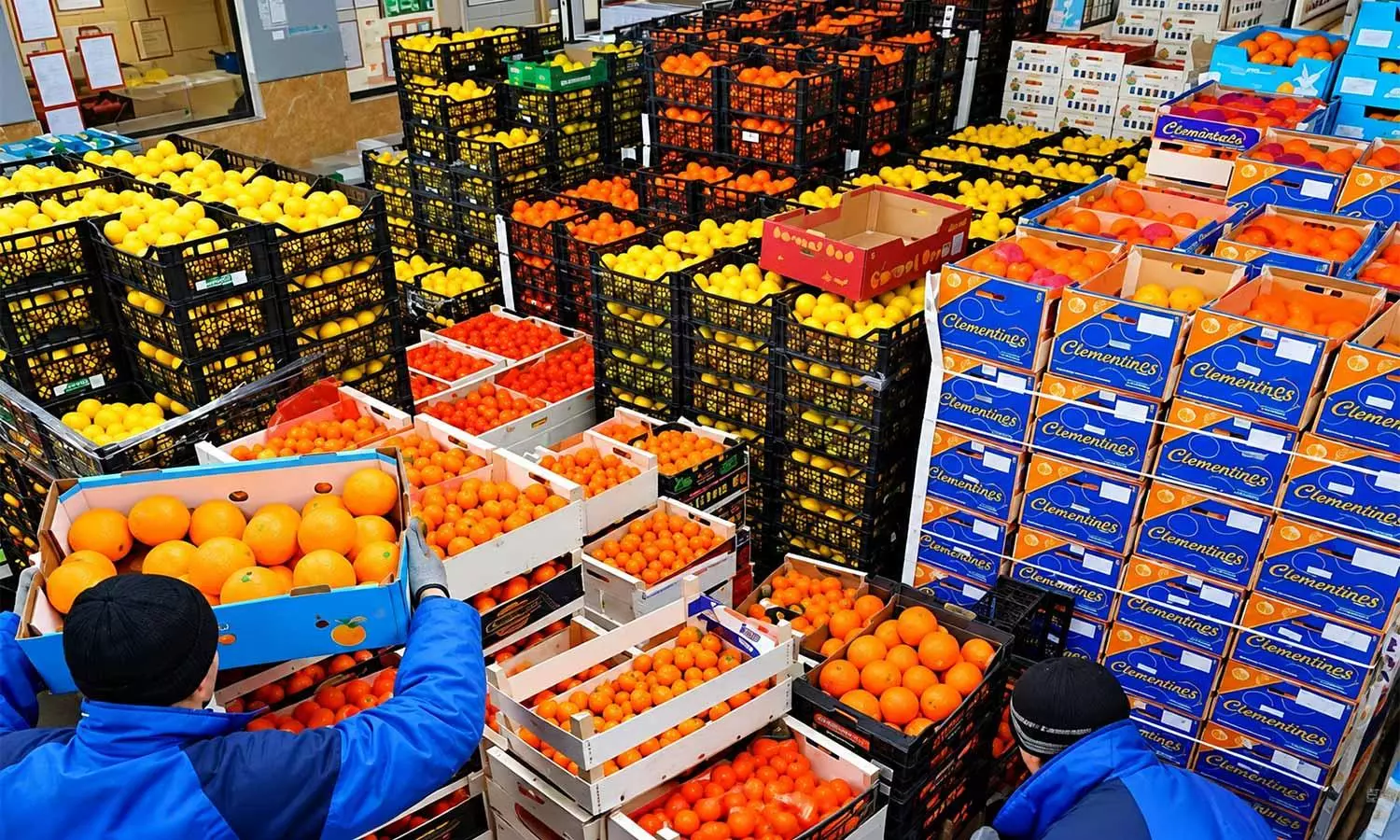 Egypt exports 190,000 tonnes of food in a week Egypt exports 190,000 tonnes of food in a week