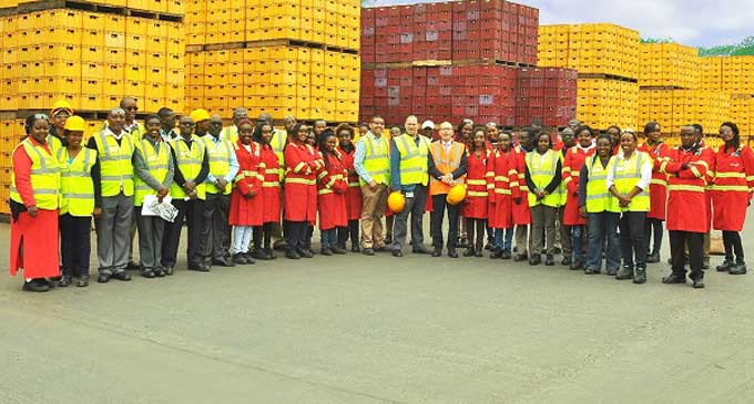 Bollore africa logistics kenya ltd jobs