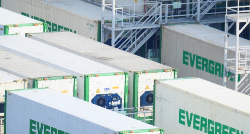 Reefer container freight rates to stay firm in 2022 Reefer container freight rates to stay firm in 2022