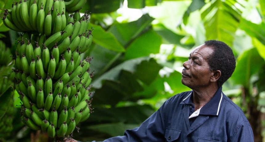 Twiga has been building Kenya’s only end-to-end distribution for fresh and processed food, sourcing from more than 17,000 producers and delivering 3 times a week on average to over 8,000 retailers. Twiga has been building Kenya’s only end-to-end distribution for fresh and processed food, sourcing from more than 17,000 producers and delivering 3 times a week on average to over 8,000 retailers.