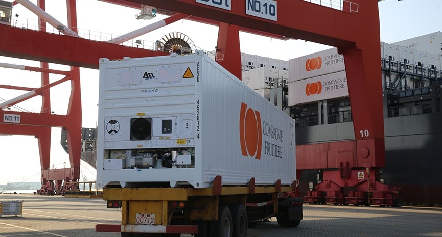 Africa Express Line orders 500 Star Cool containers from Maersk Africa Express Line orders 500 Star Cool containers from Maersk