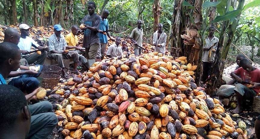 Kojo Oppong Nkrumah, Ghana information minister said the huge investment is to step up Ghana's production to 1.5 million tonnes by 2027. Kojo Oppong Nkrumah, Ghana information minister said the huge investment is to step up Ghana's production to 1.5 million tonnes by 2027.